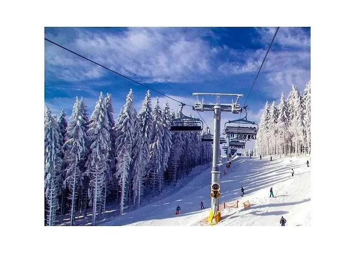 Hébergement de vacances In With Terrace *