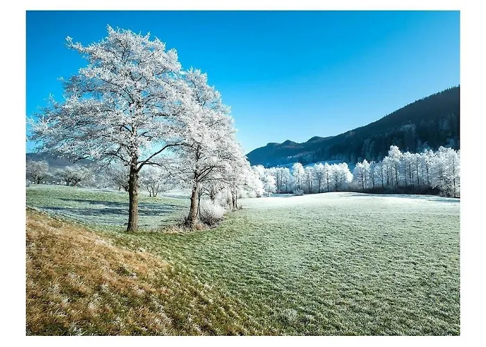 Hébergement de vacances In With Terrace *